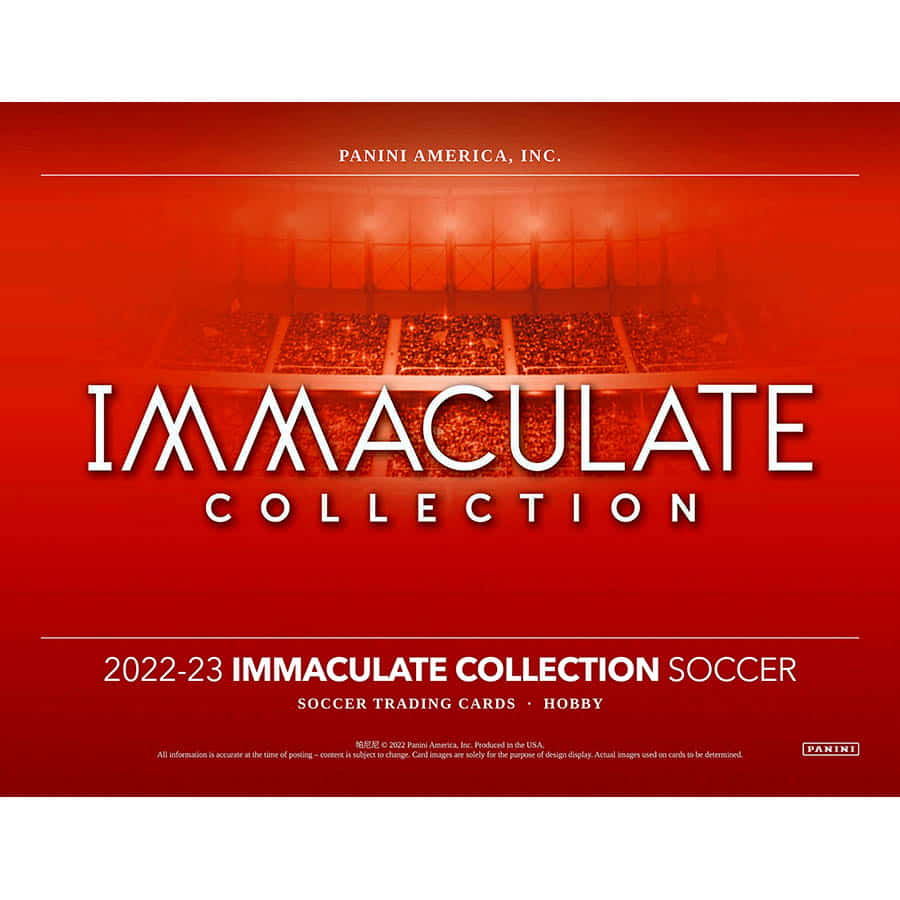 PANINI IMMACULATE SOCCER 22/23 6 BOX CASE PYT/PYP BREAK #8